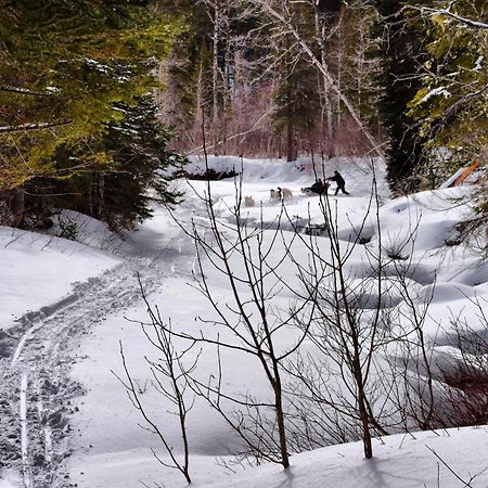 Gite Aux Jardins De L'Anse Perce Exteriör bild