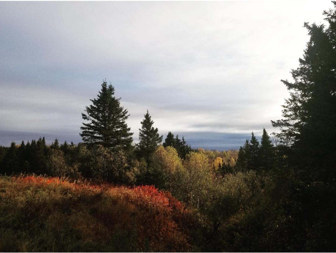 Gite Aux Jardins De L'Anse Perce Exteriör bild