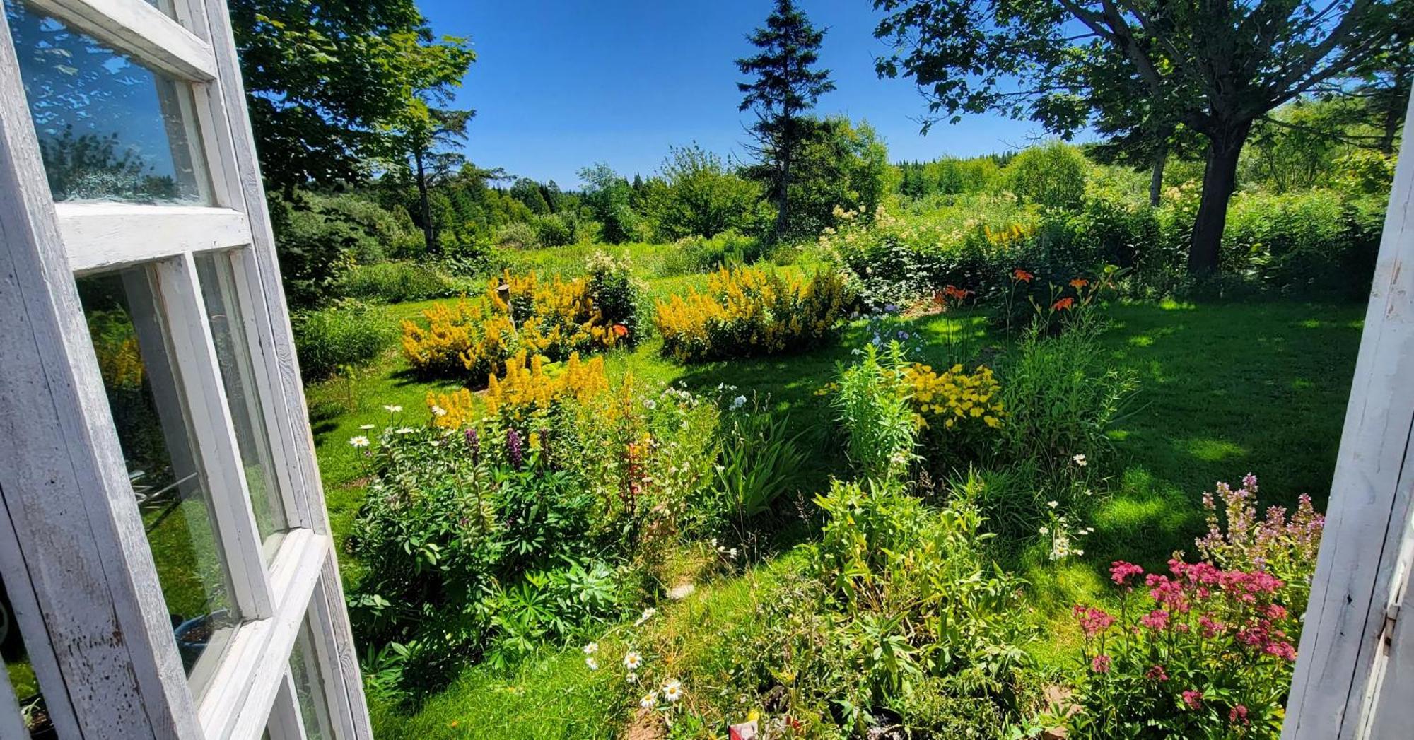 Gite Aux Jardins De L'Anse Perce Exteriör bild