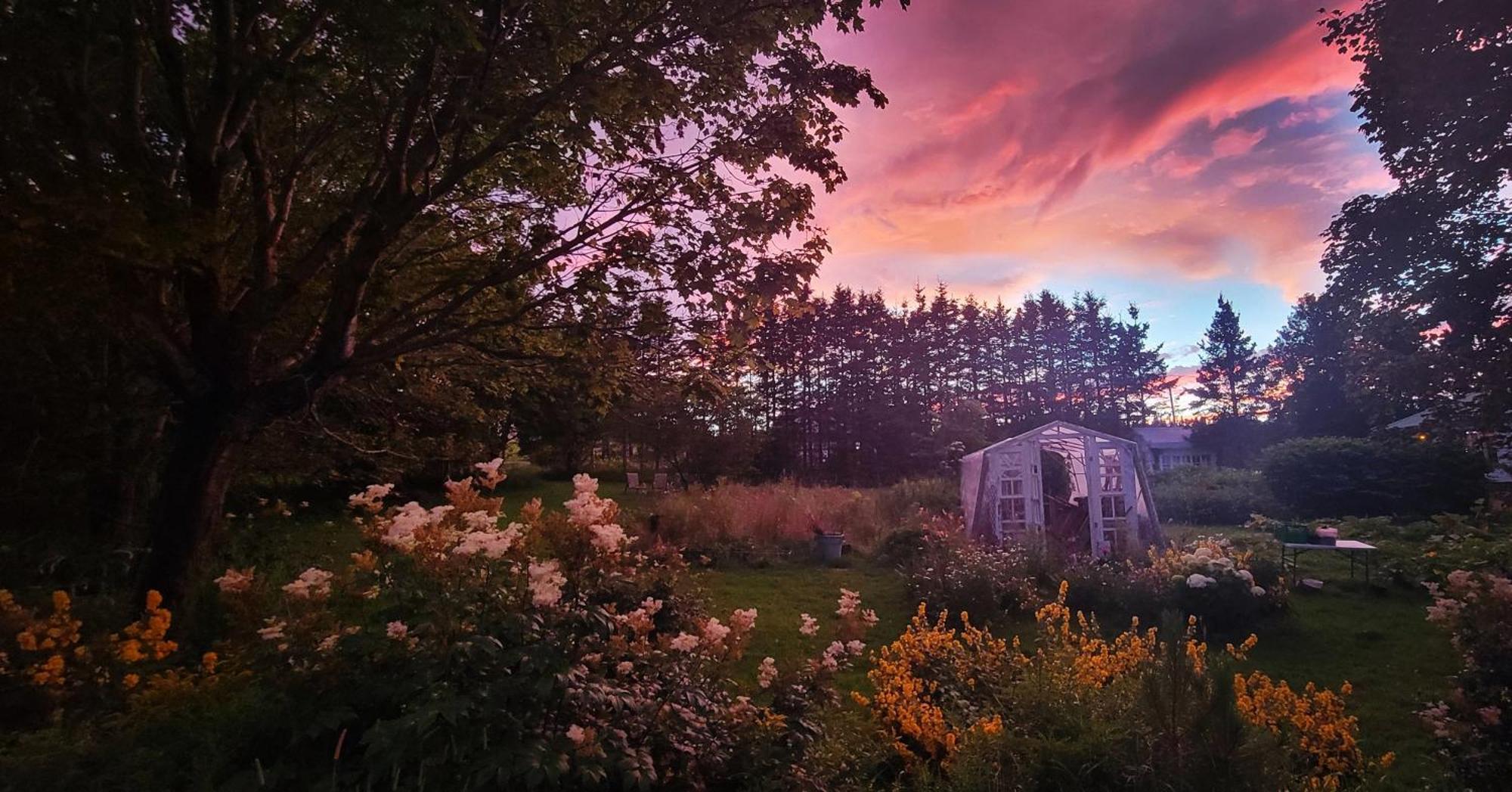 Gite Aux Jardins De L'Anse Perce Exteriör bild
