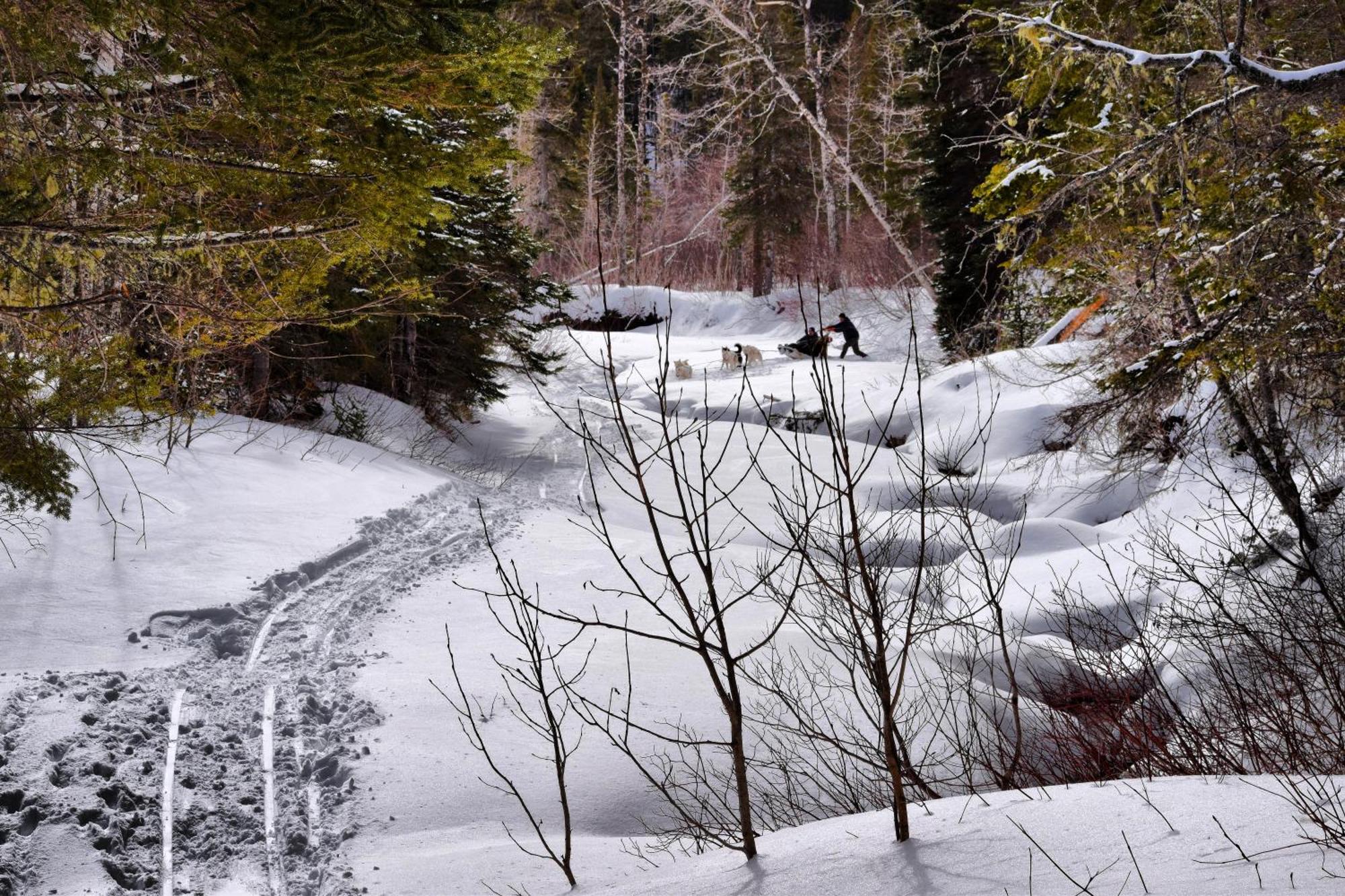 Gite Aux Jardins De L'Anse Perce Exteriör bild
