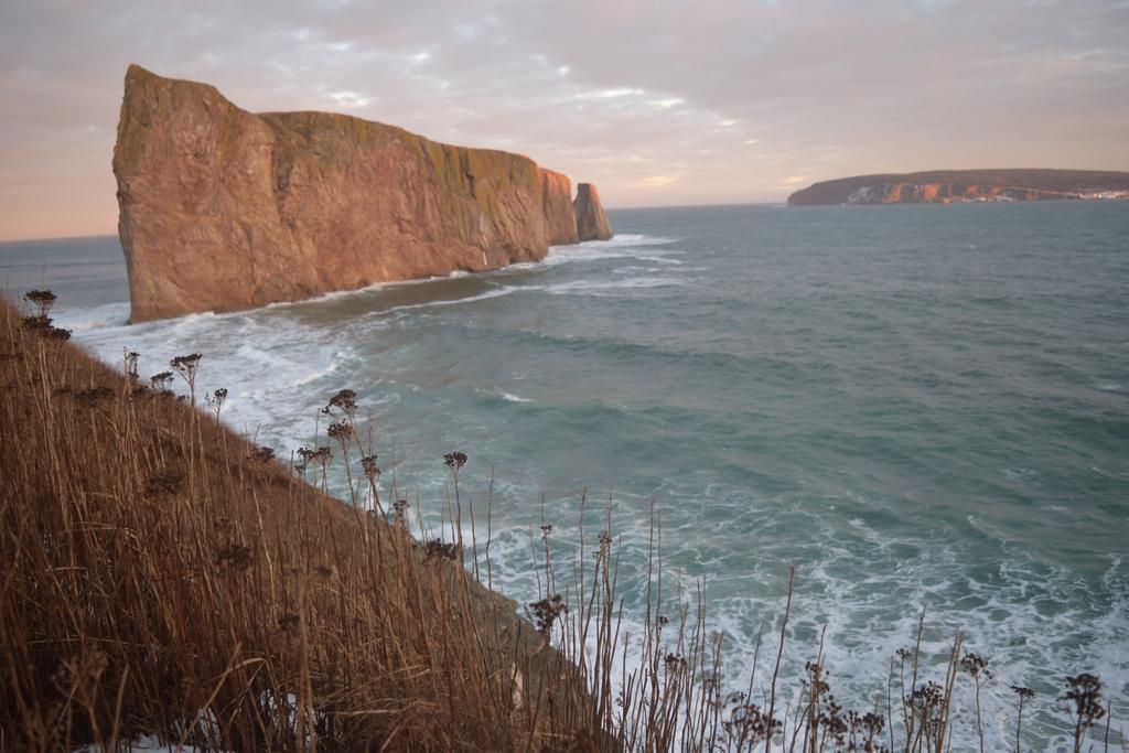 Gite Aux Jardins De L'Anse Perce Exteriör bild
