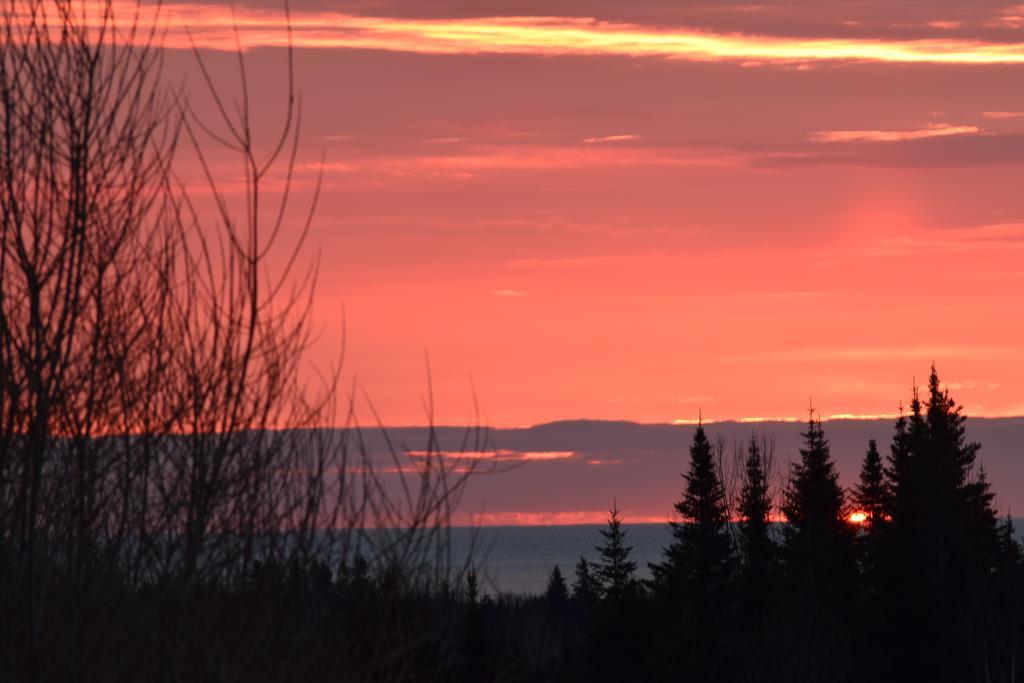Gite Aux Jardins De L'Anse Perce Exteriör bild
