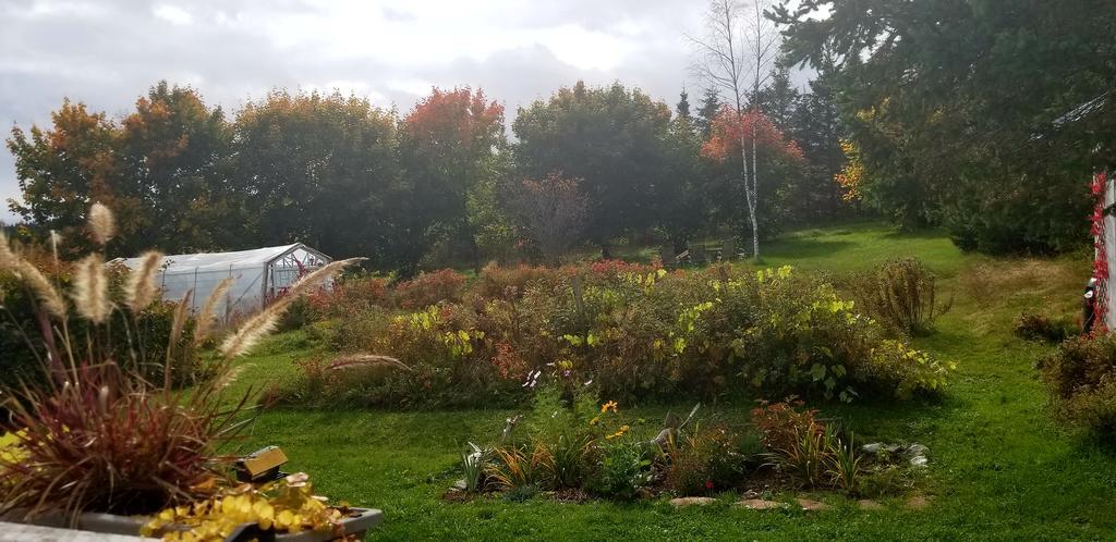 Gite Aux Jardins De L'Anse Perce Exteriör bild