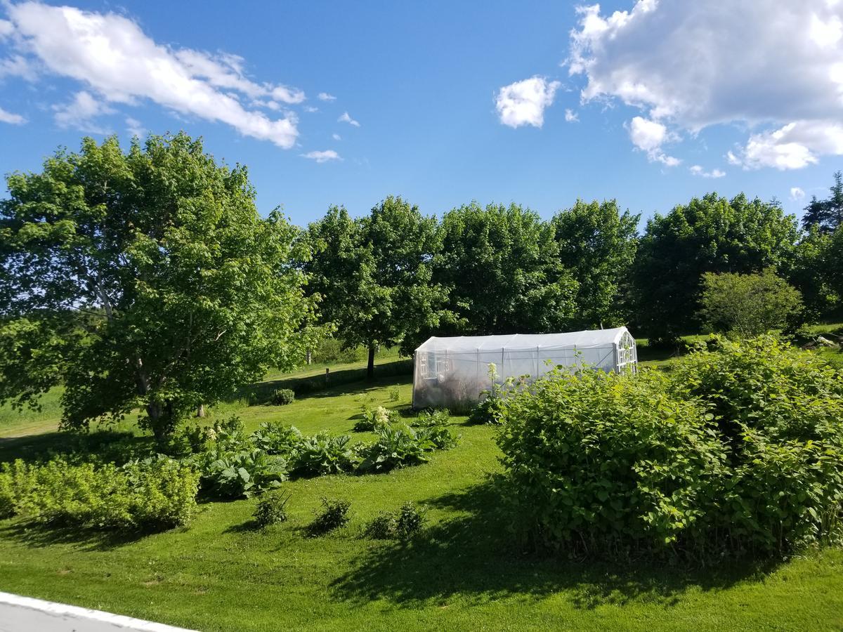 Gite Aux Jardins De L'Anse Perce Exteriör bild
