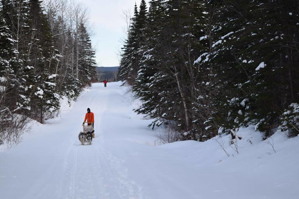 Gite Aux Jardins De L'Anse Perce Exteriör bild